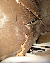06-02-08_001t_damage.jpg
