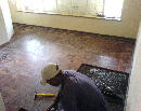 dsc00709.jpg