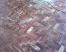 dsc00745.jpg