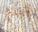 s4010026.jpg