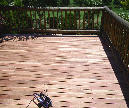 s4010033.jpg